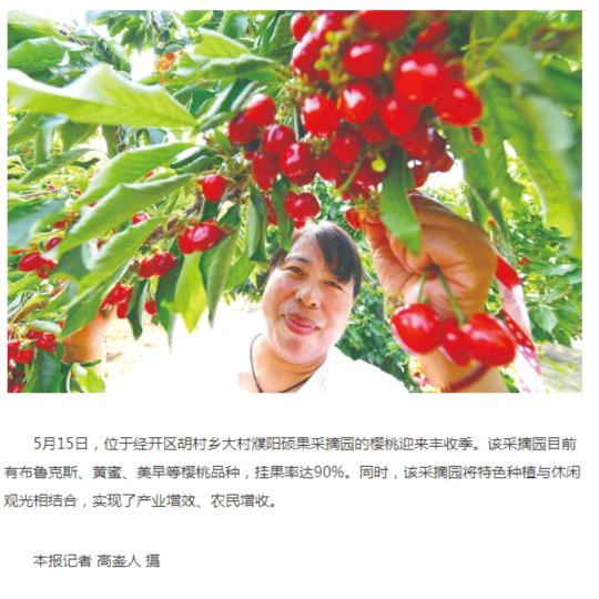 樱桃姐