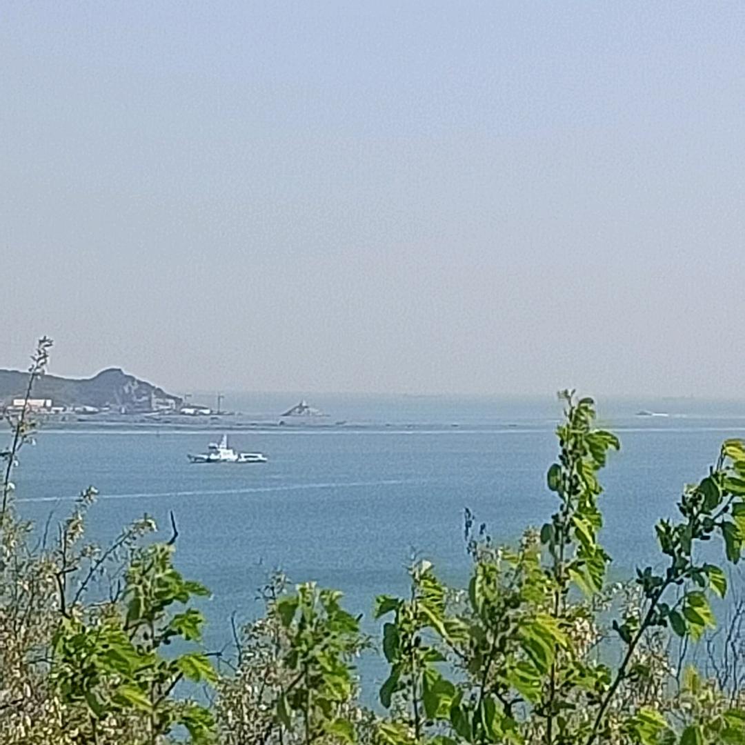 折翼的天使