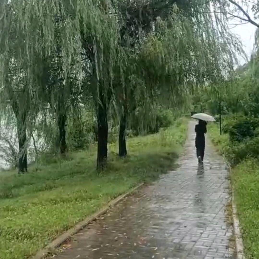 看客