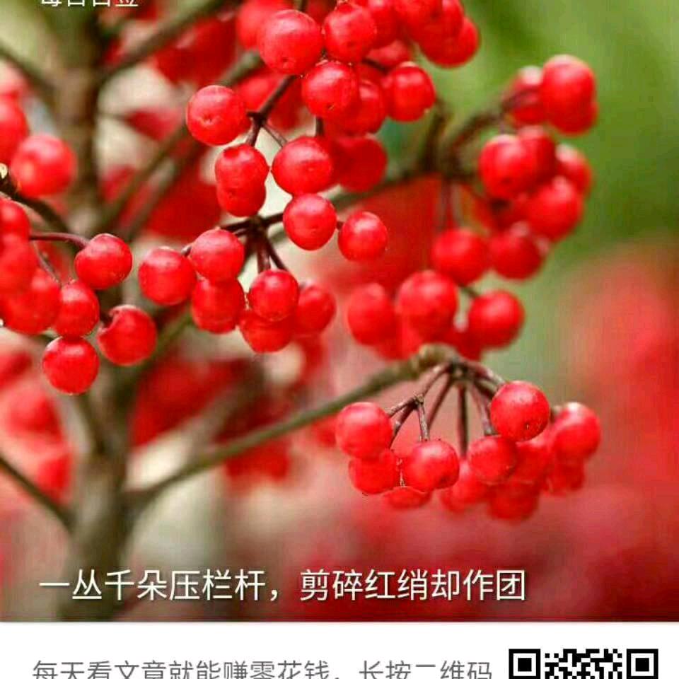 平安是福