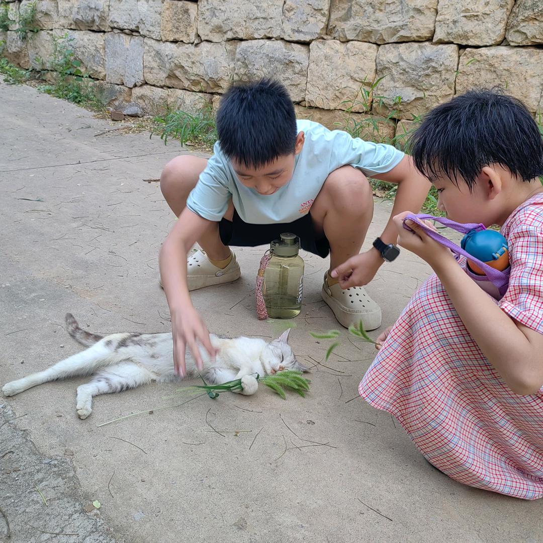 桃李同学