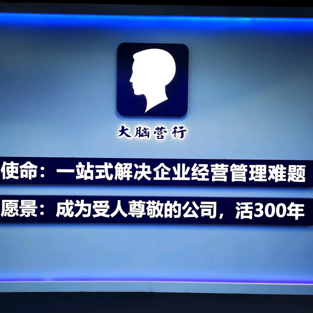 大脑营行苏引华商业思维