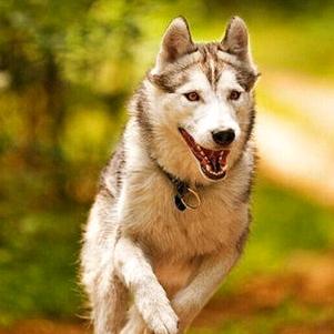 🇨🇳遇事说事👮（厦门）🚘