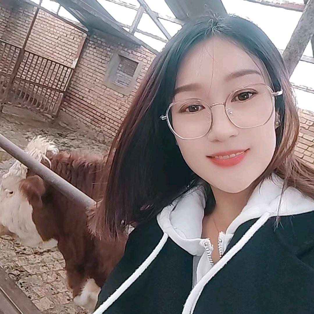 张北牛市燕子中介服务部