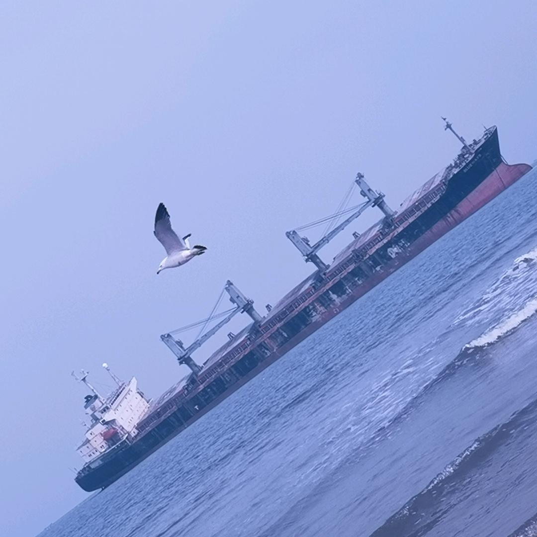 宁辰辰溪