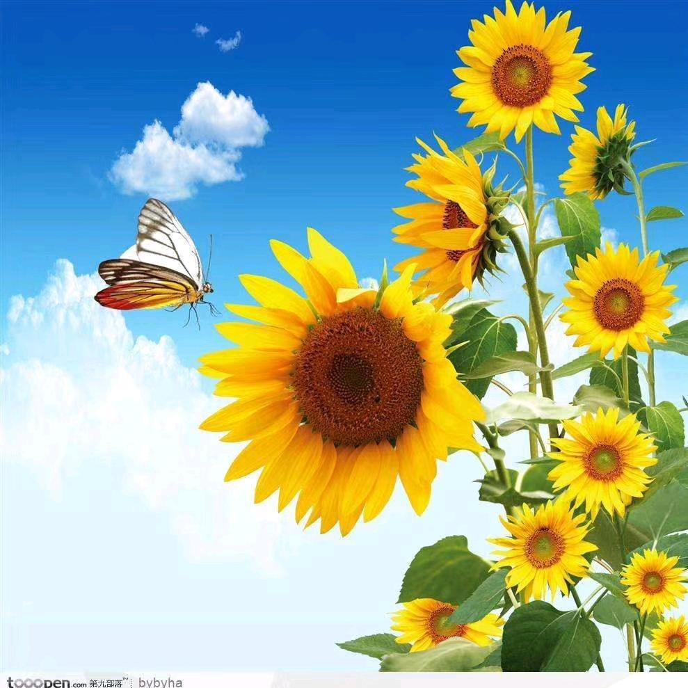 ℋ冉ꦿꦿ᭄᪲࿐ᩚ🍓