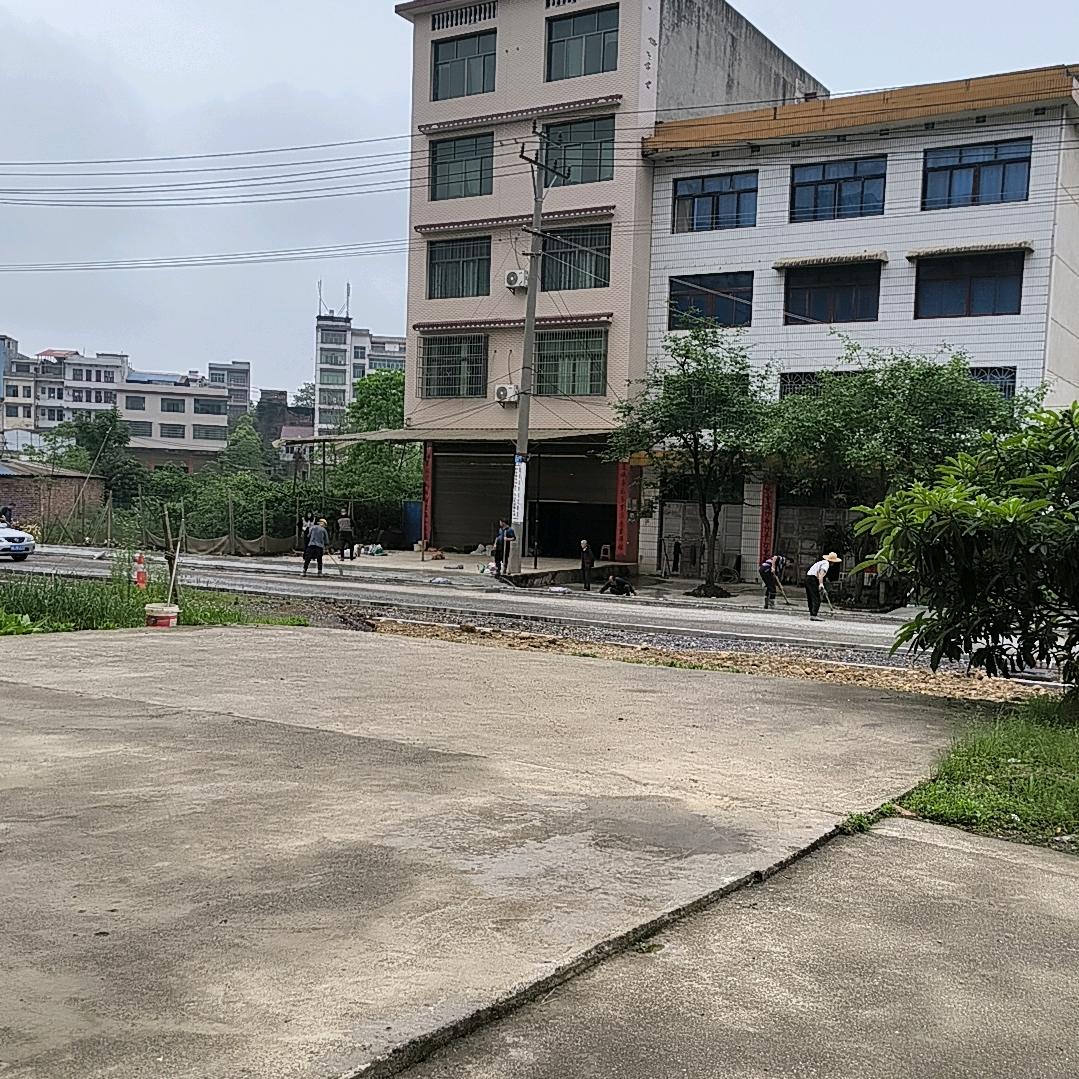 龙行天涯