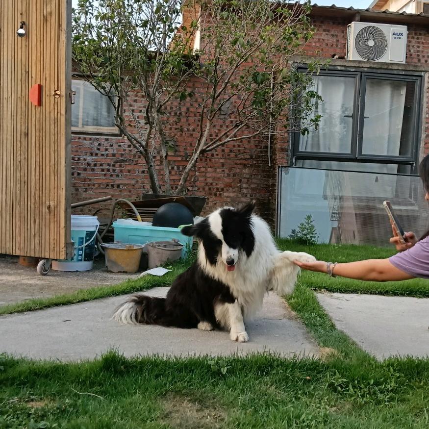 洛💞꧔ꦿ᭄ᩚ꯭ᩚ💞᪲曦