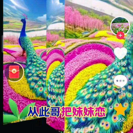林大哥