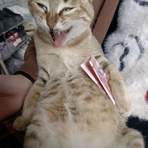 真一寒