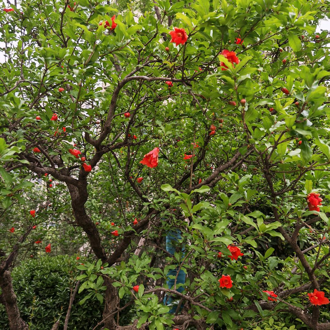 希望我越来越好