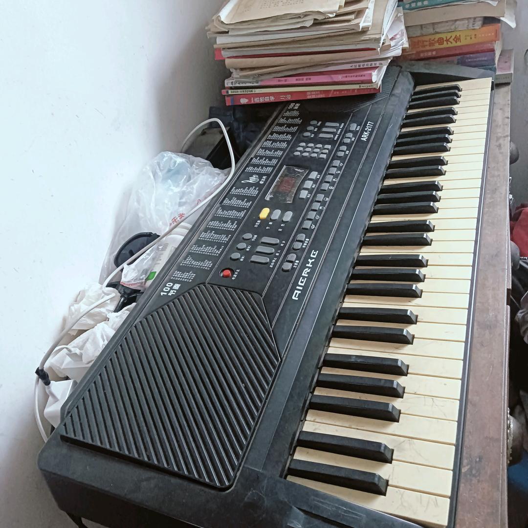 罗WU宽电子琴（草音）