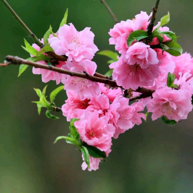 ℳ💗ꦿ໊習惯ꦿ有你ꦿ