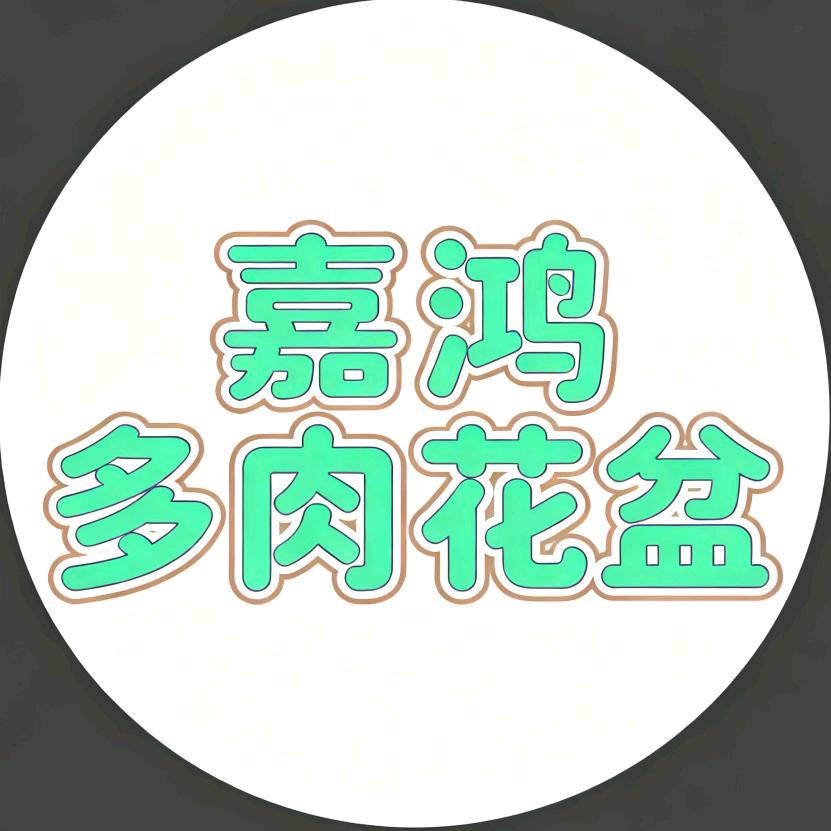 景德镇嘉鸿多肉花盆