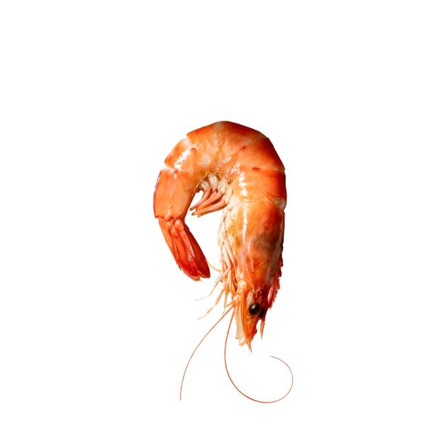 混的强