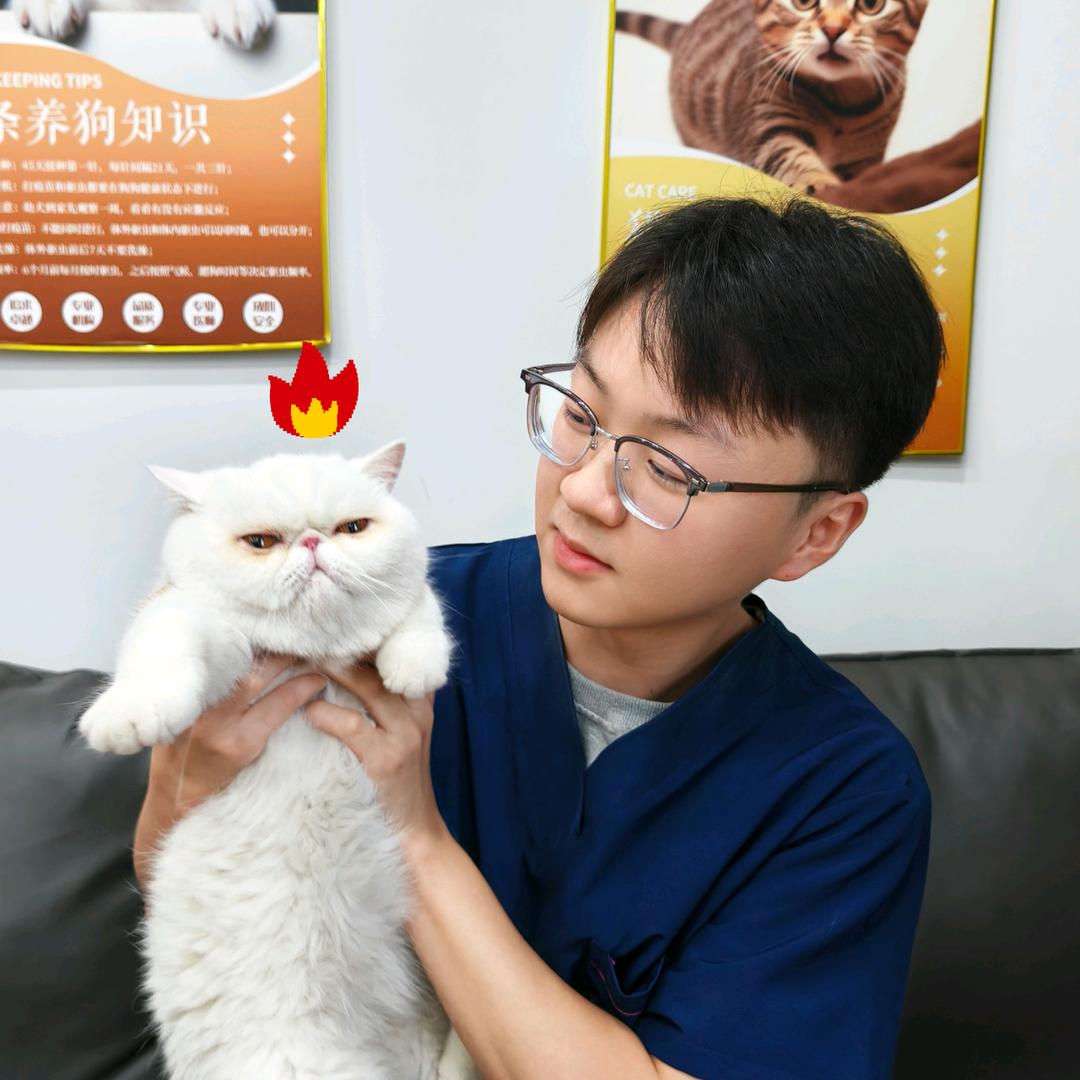 华彬-养宠指南