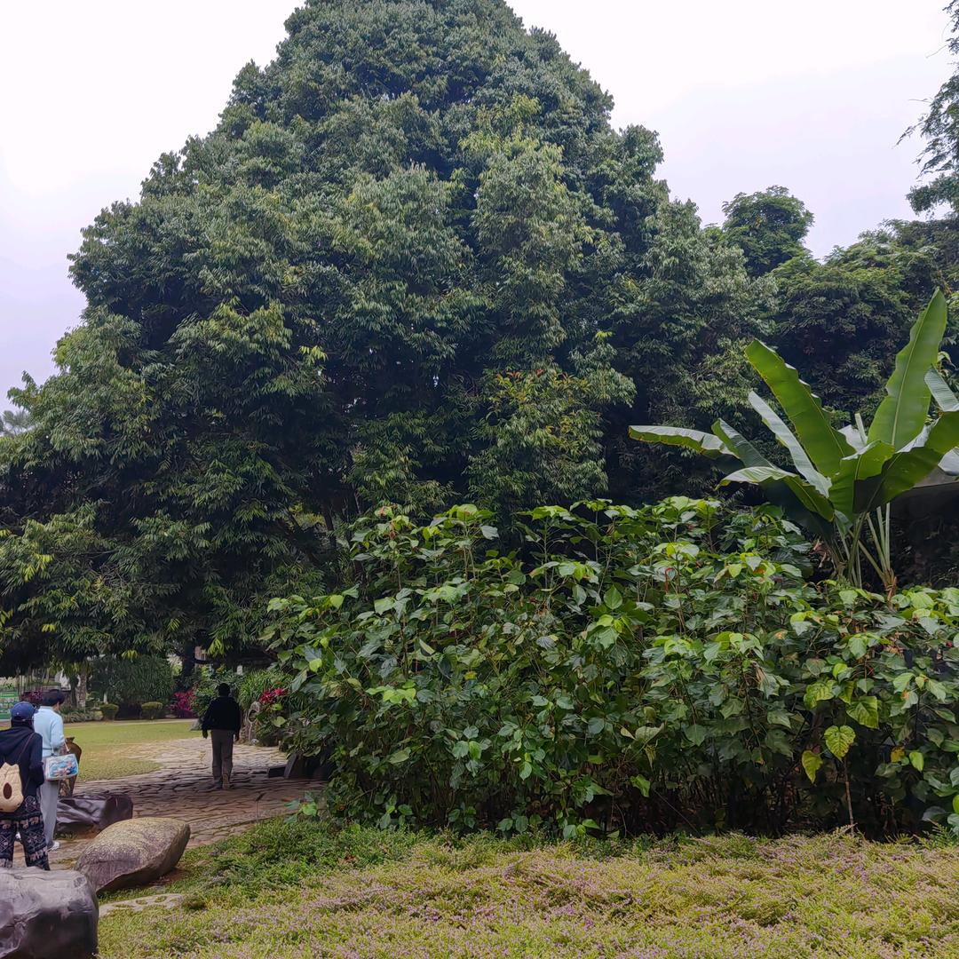 在路上，人品弟一，干就完了！