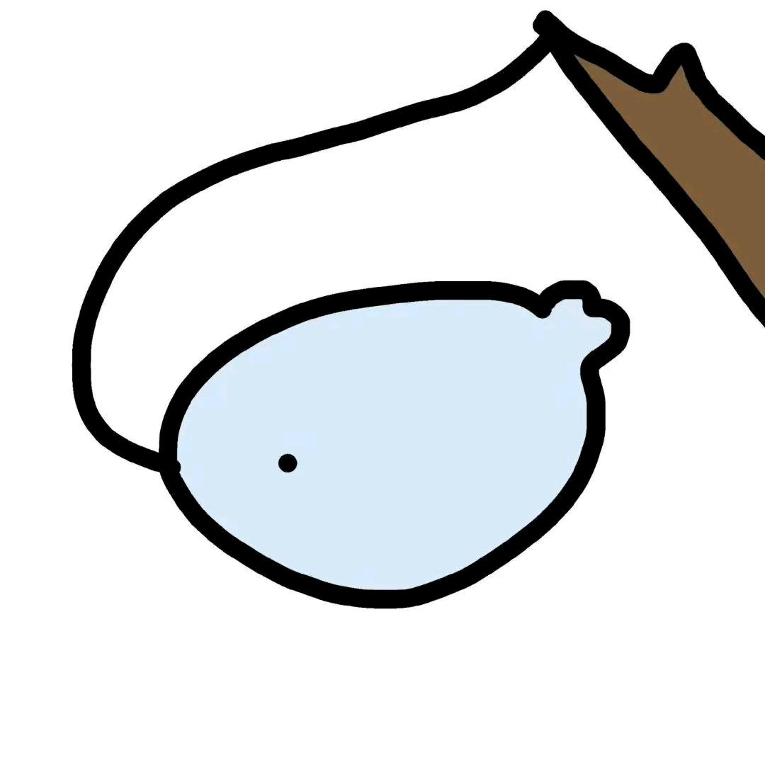 wws