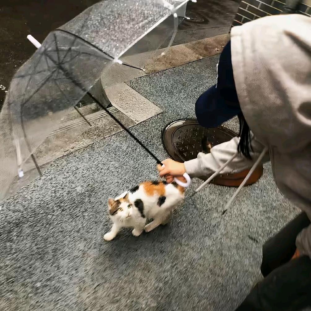 常开心