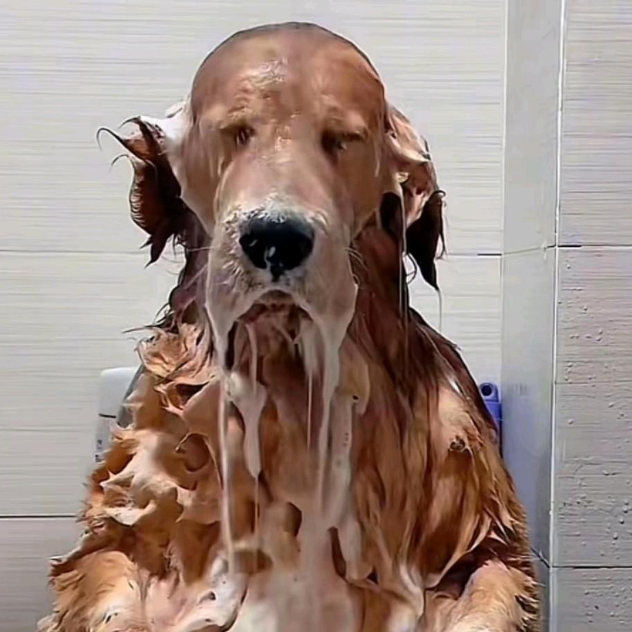 硕士被裁找不到工作都每一天