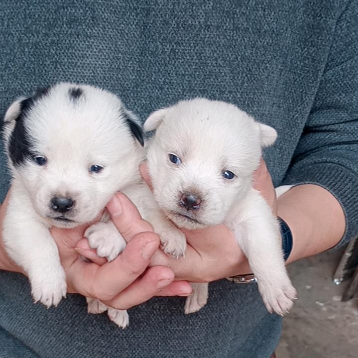 💞让心꧔ꦿ᭄归零꧔ꦿ