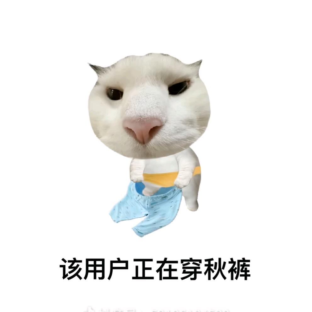 天鸽💤