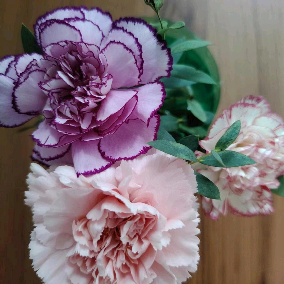 室内装修，搭彩钢房