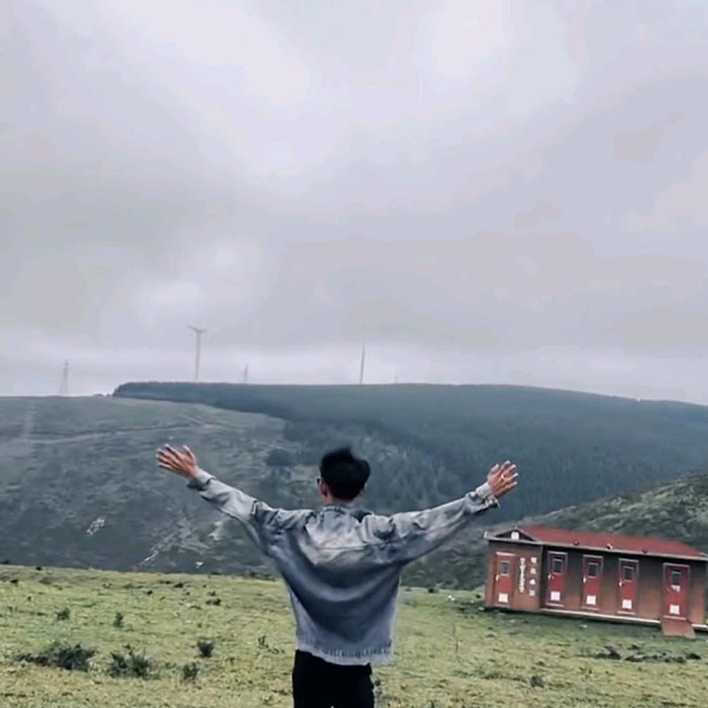 纹杰.