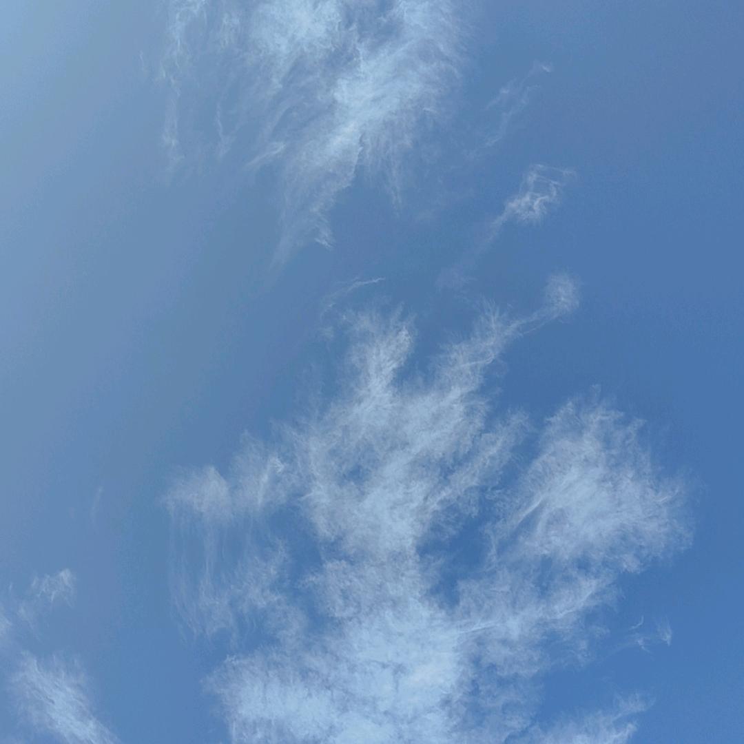 黑c霸气威武g