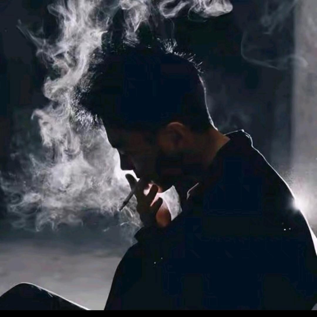 随风🍓<封票中>