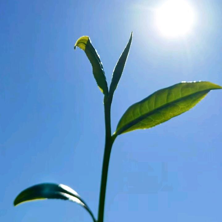 🌈热心市民邵某某