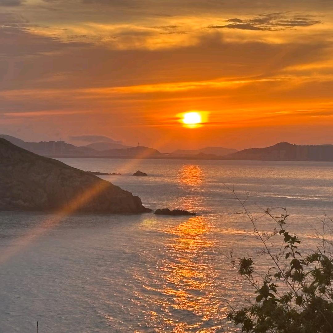 心中无爱哪来伤害