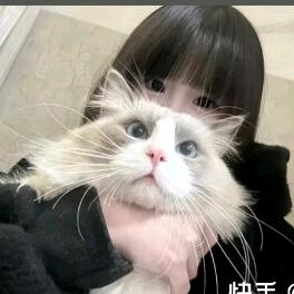 喜猫.