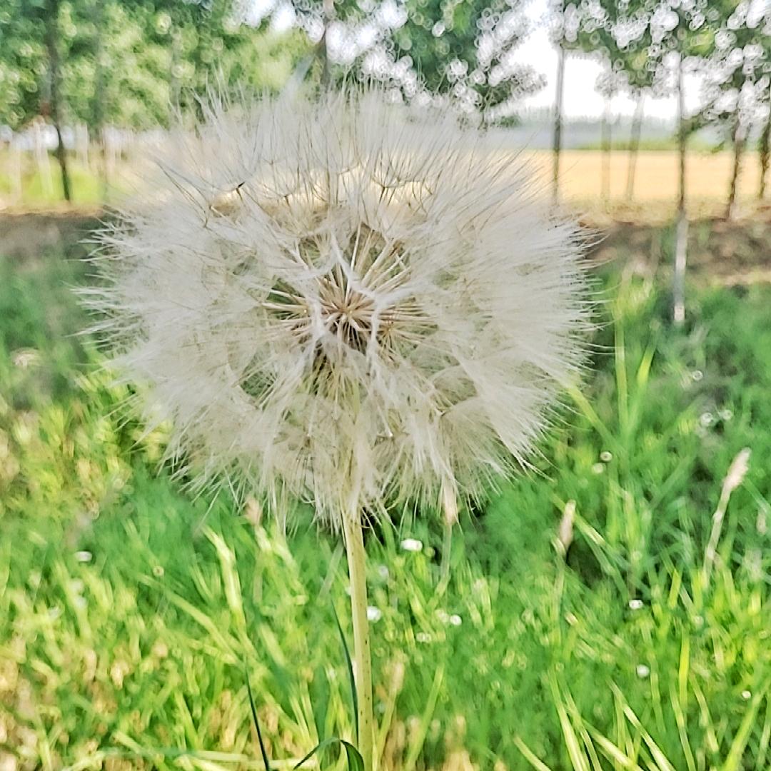 初一