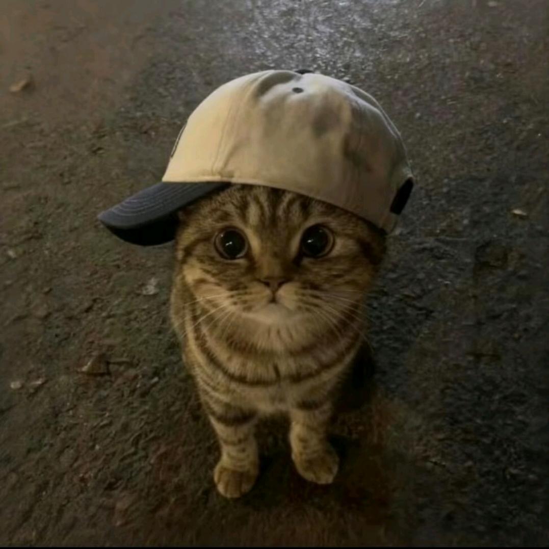·