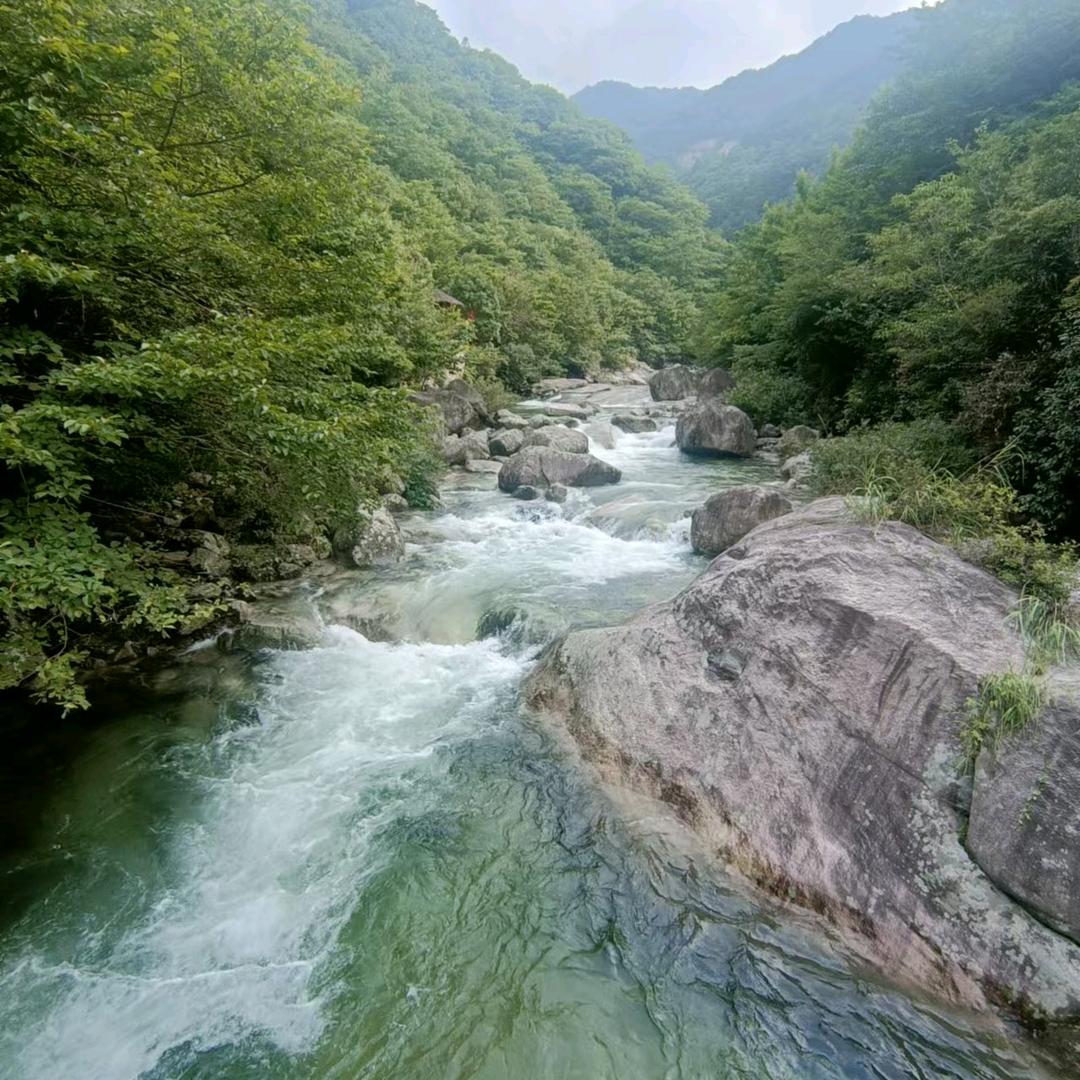 绽放人生