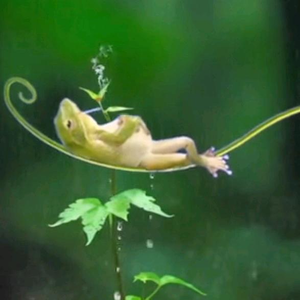 ༉ᩚ᭄: ꦿ᭄沉៷ᜧ默༉ᩚ᭄ꦿ᭄