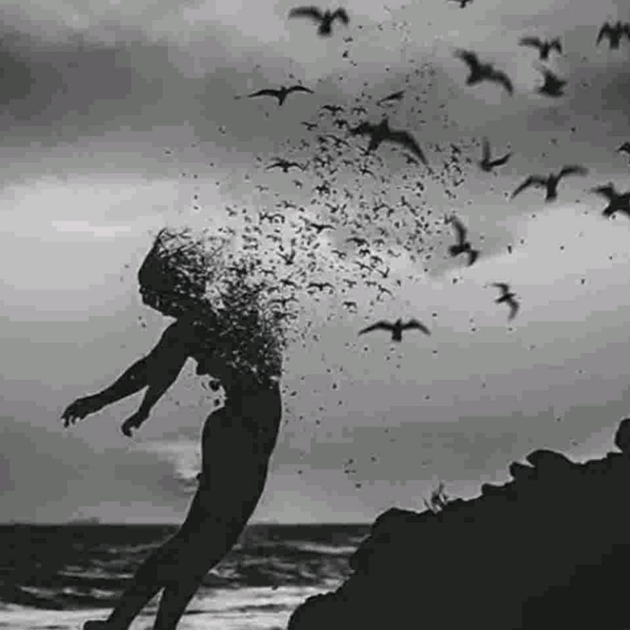 自杀式浪漫动漫馆