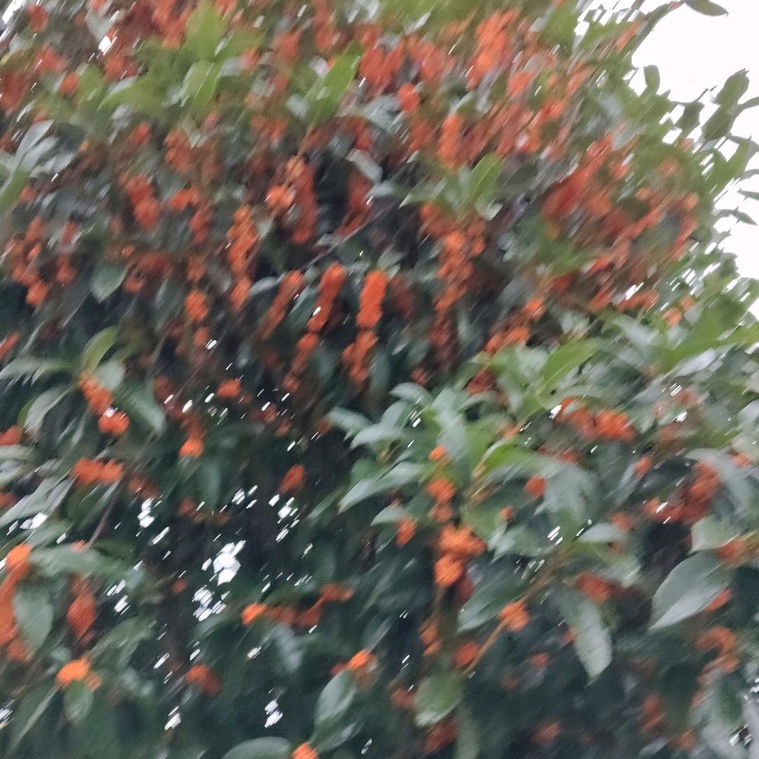 用户178235029613464546