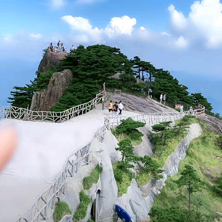 君不见