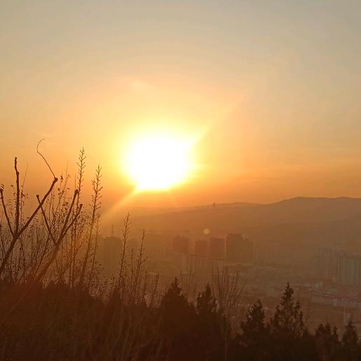 不吃醋的甘肃小赵