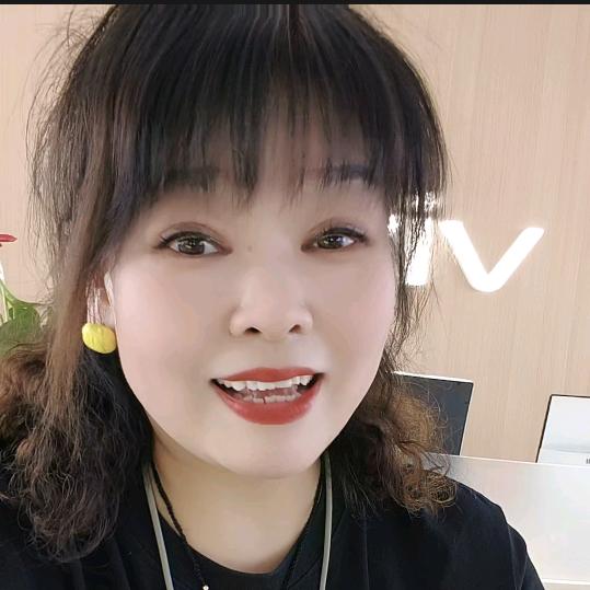 灵宝 新灵西街vivo·梅子