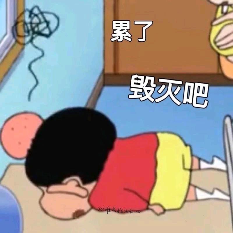 晴天的欣