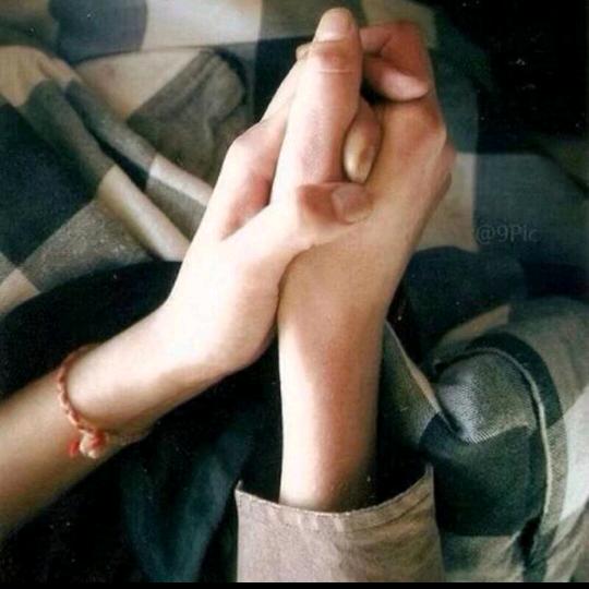 菘蓝♥