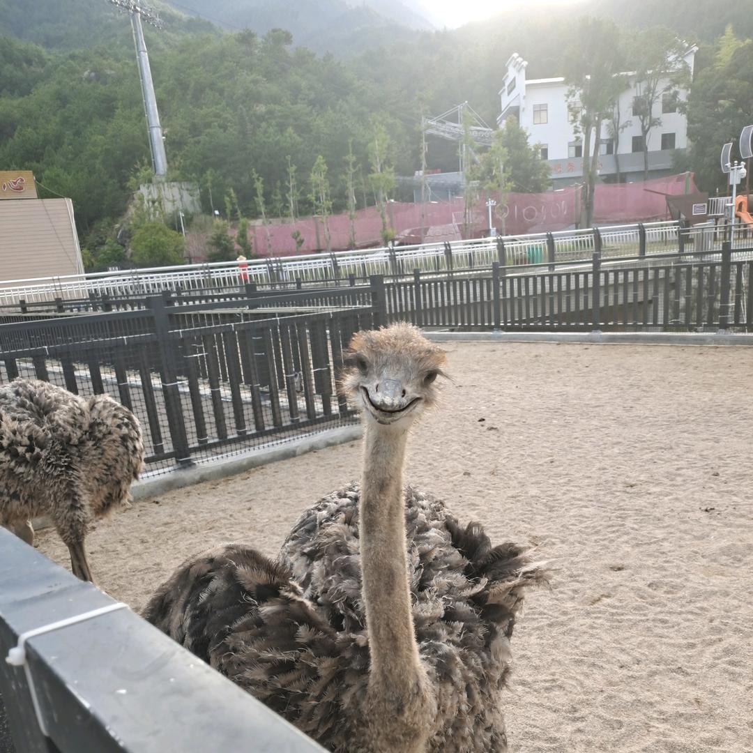 岳西日立中央空调小李