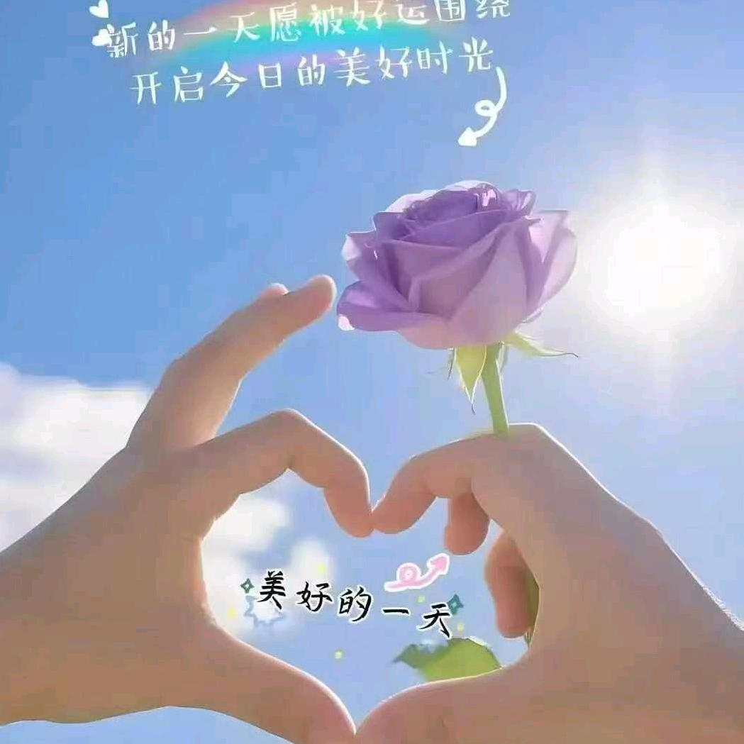静姐