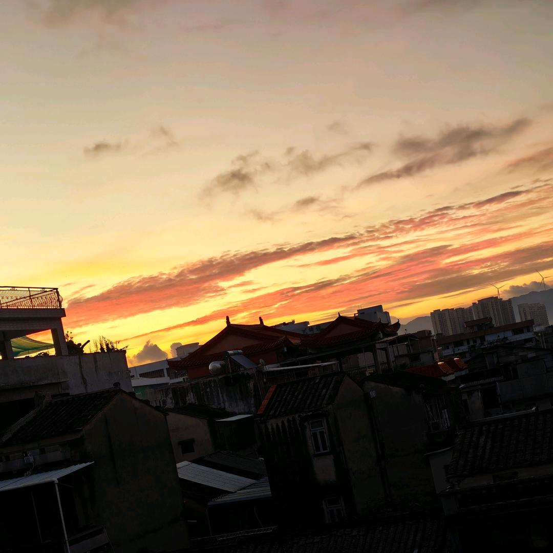 默小白头像