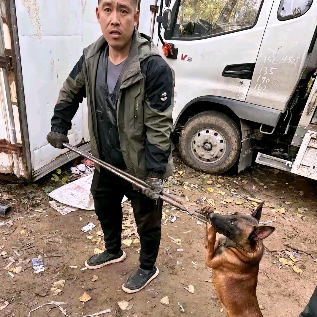 AAA 专业套狗20年