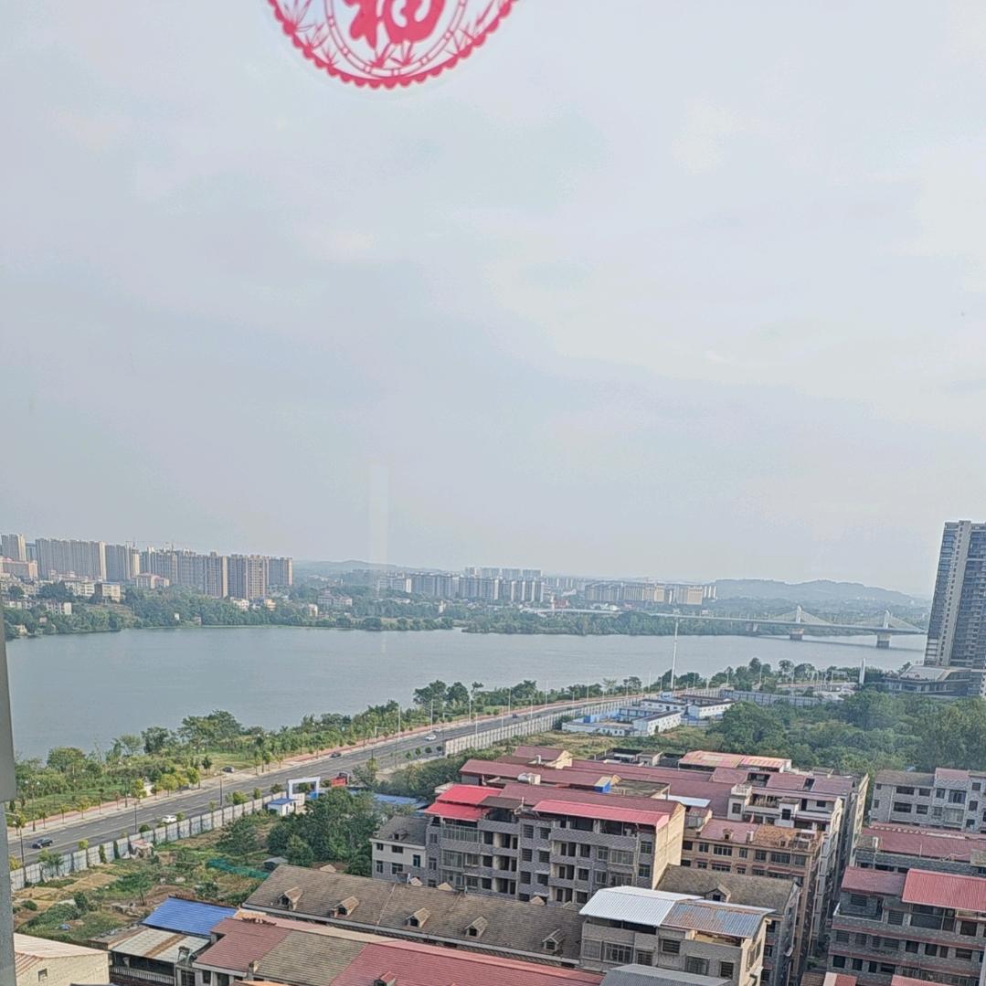 丽