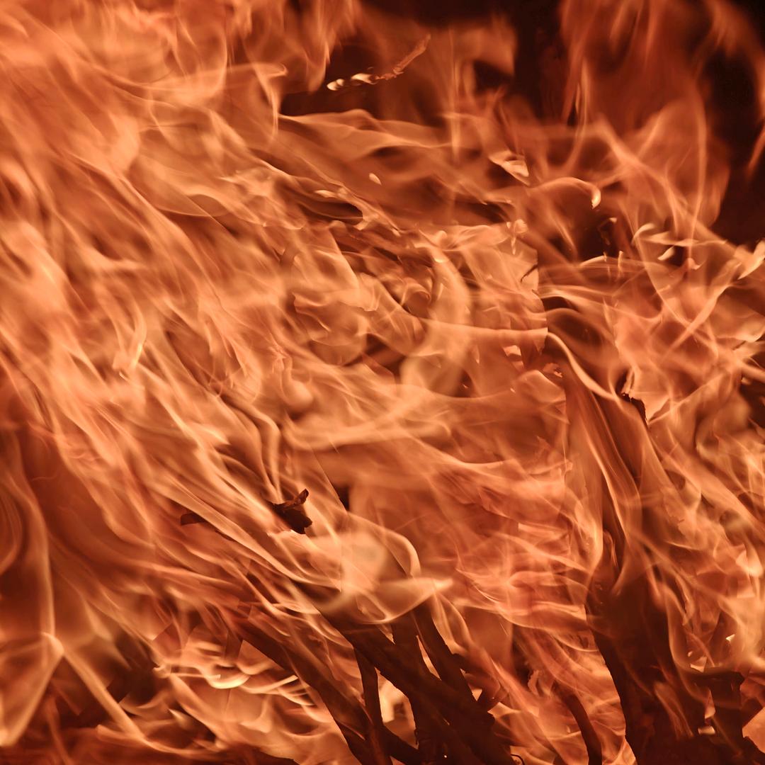 ▃▃▃▃▃▃▃▃▃▃▃▃▃▃▃▃𰻝